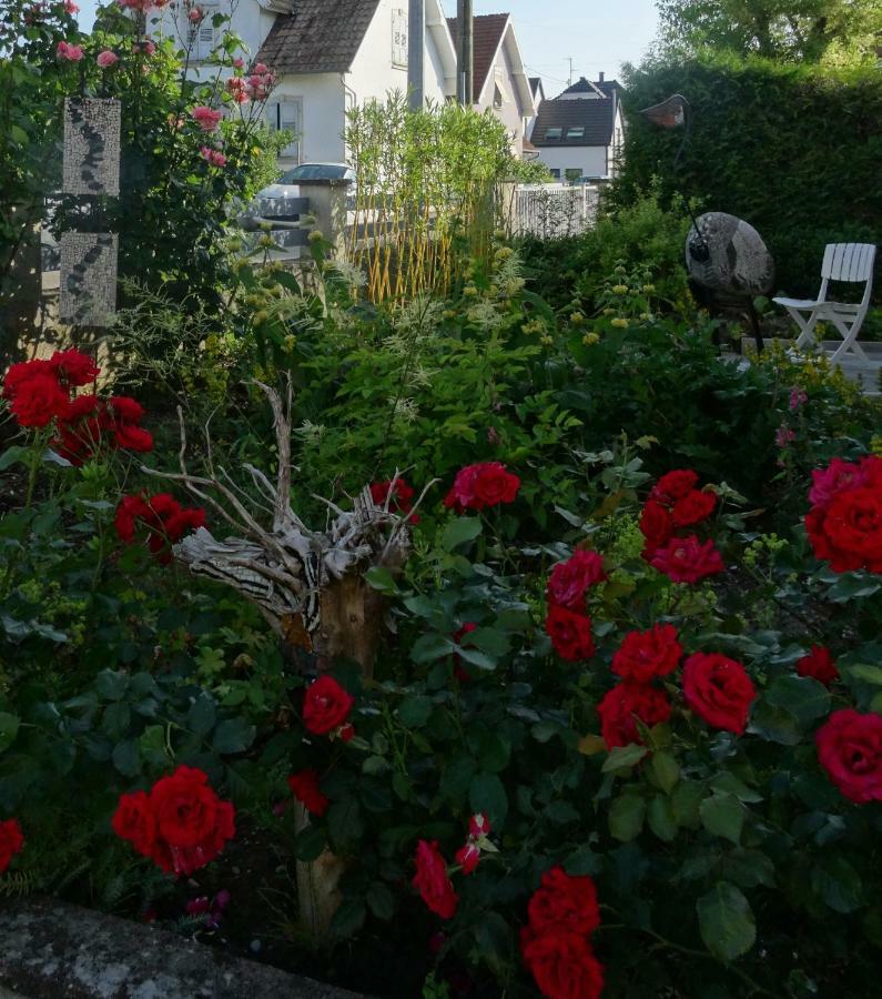 Gite Du Heron La Wantzenau Buitenkant foto